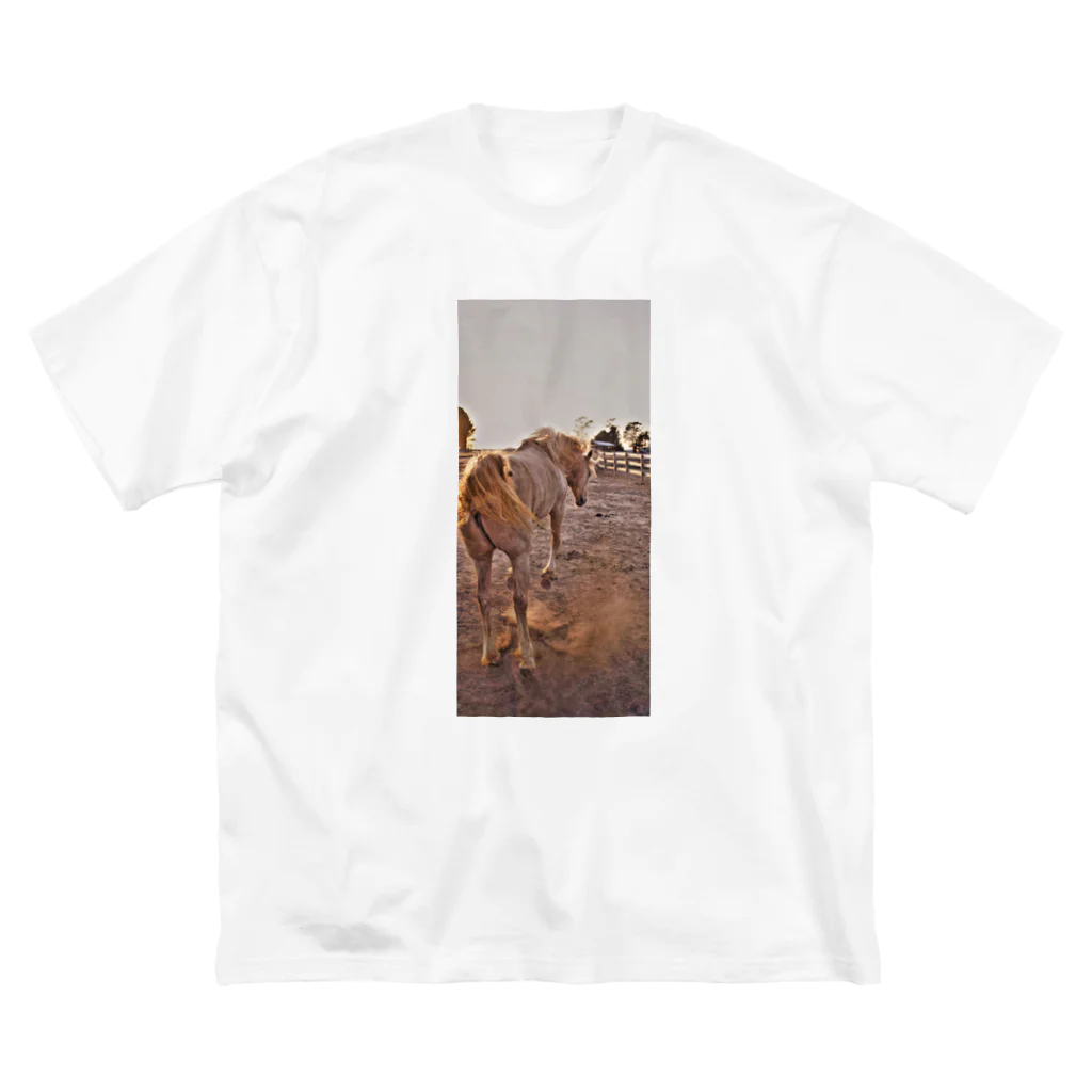 jpsat313の放牧中馬 ビッグシルエットTシャツ