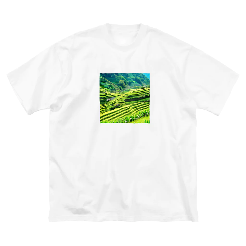 dolphineの日本の原風景　棚田 Big T-Shirt