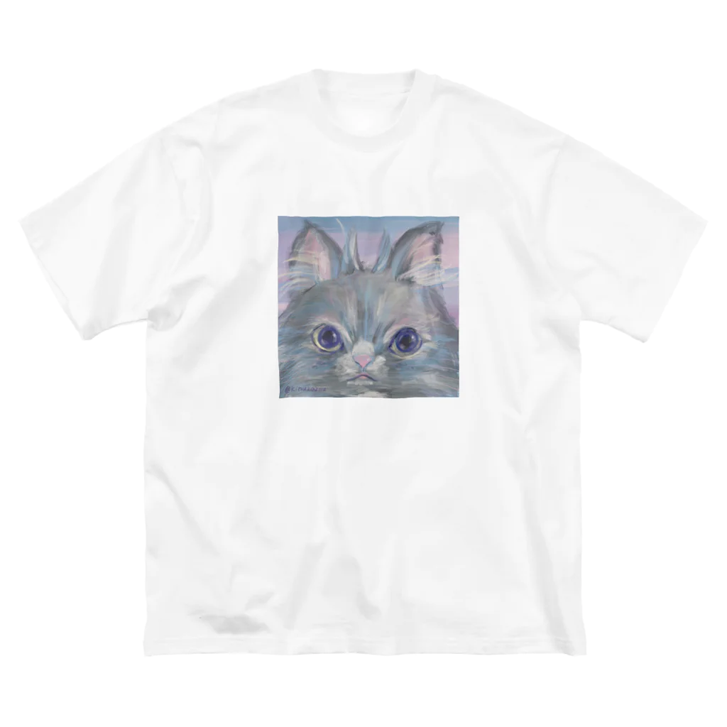 猫のきぬくんのお店のフクロウじゃないもん Big T-Shirt