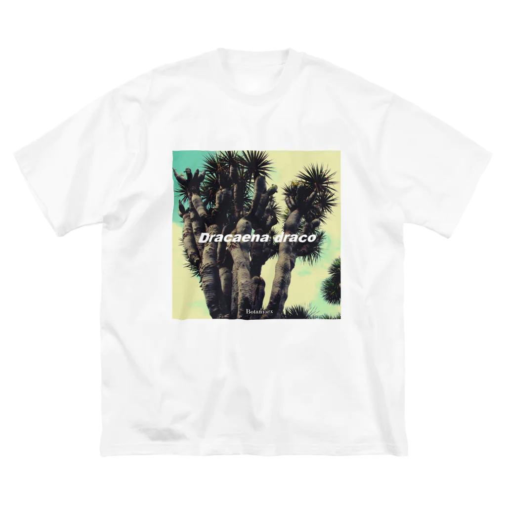 botaniaxのリュウケツジュ（竜血樹） Big T-Shirt