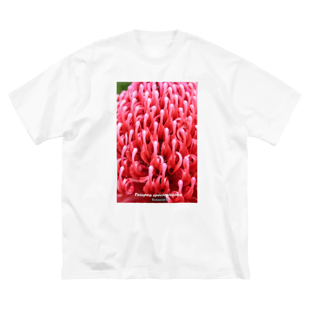 botaniaxのテロペア Big T-Shirt