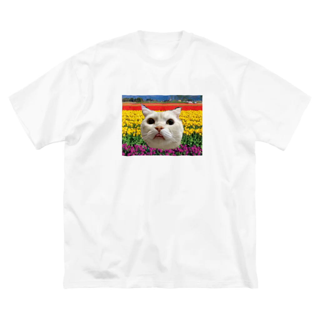 ネコとわたしとそのほかとのカラフルな舌だしネコ ビッグシルエットTシャツ