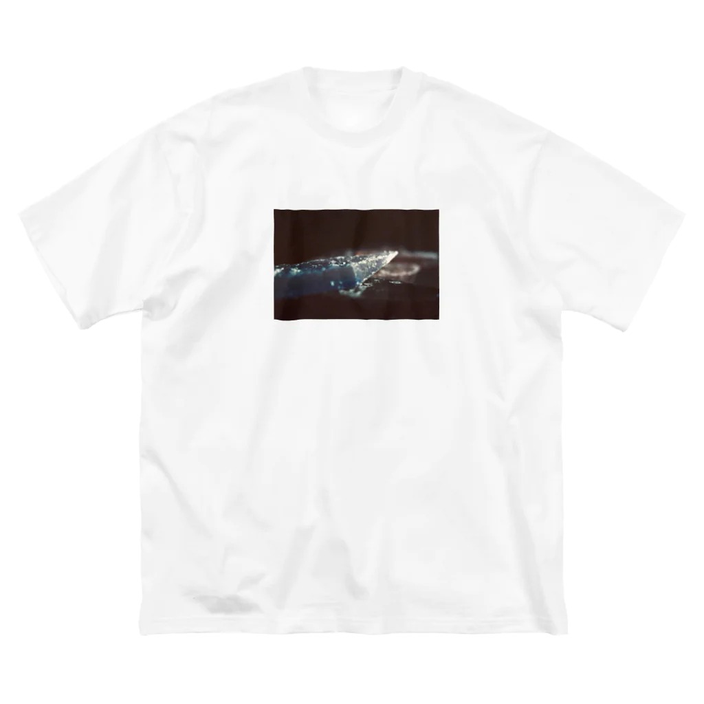 sacoccoのsoap boat Big T-Shirt