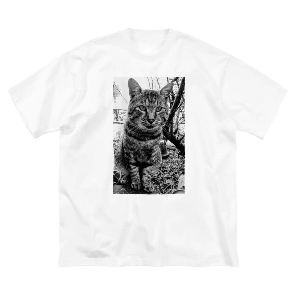 Bohcaの野生的な猫 ビッグシルエットTシャツ