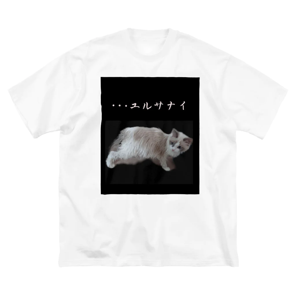 munteaのこはねこ ビッグシルエットTシャツ