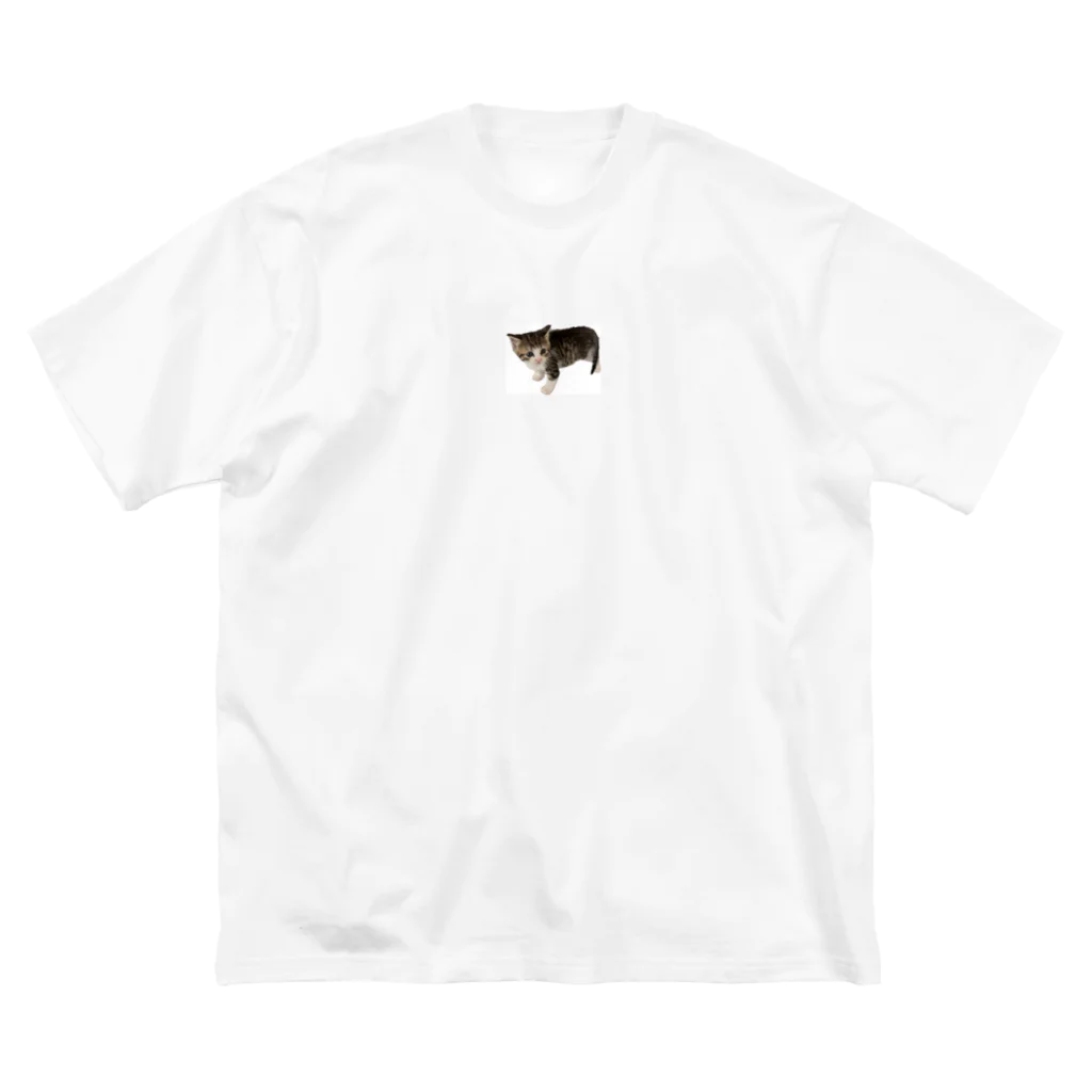 マスターPの小さい猫　ツブちゃん Big T-Shirt