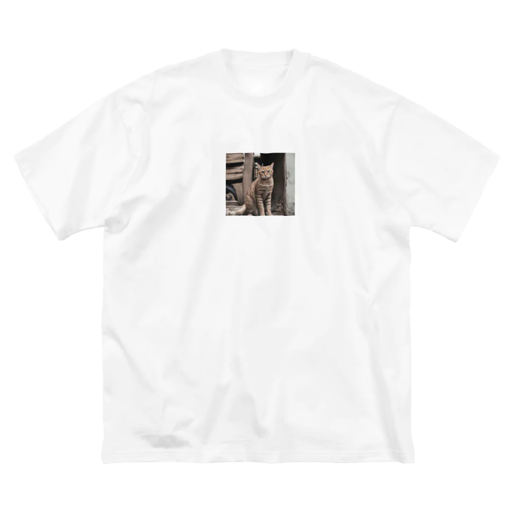 TAIYO 猫好きの美猫フォト Big T-Shirt