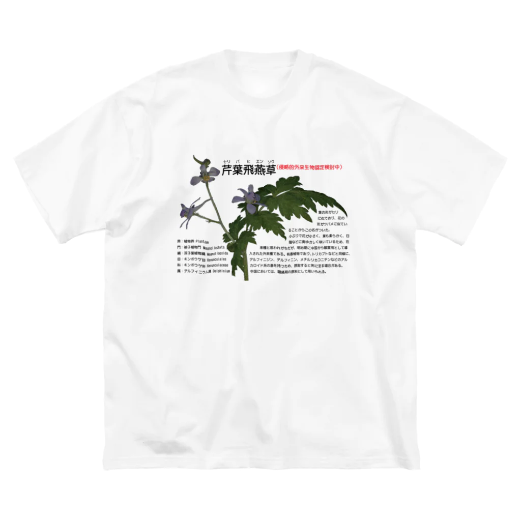 植物の絵師「洋子」の店のセリバヒエンソウ（薬草） ビッグシルエットTシャツ