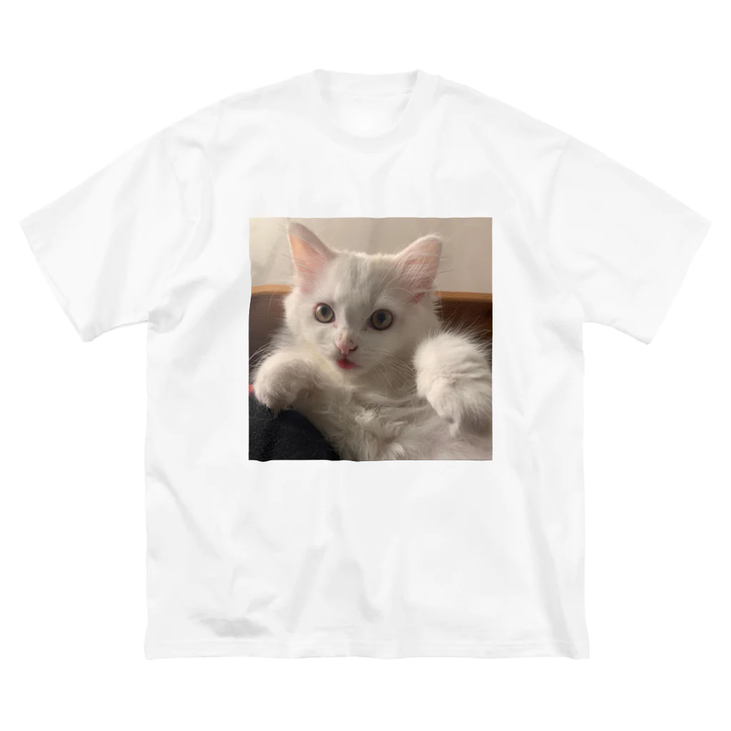 シュシュ🐱キャットのシュシュちゃん🐱 Big T-Shirt