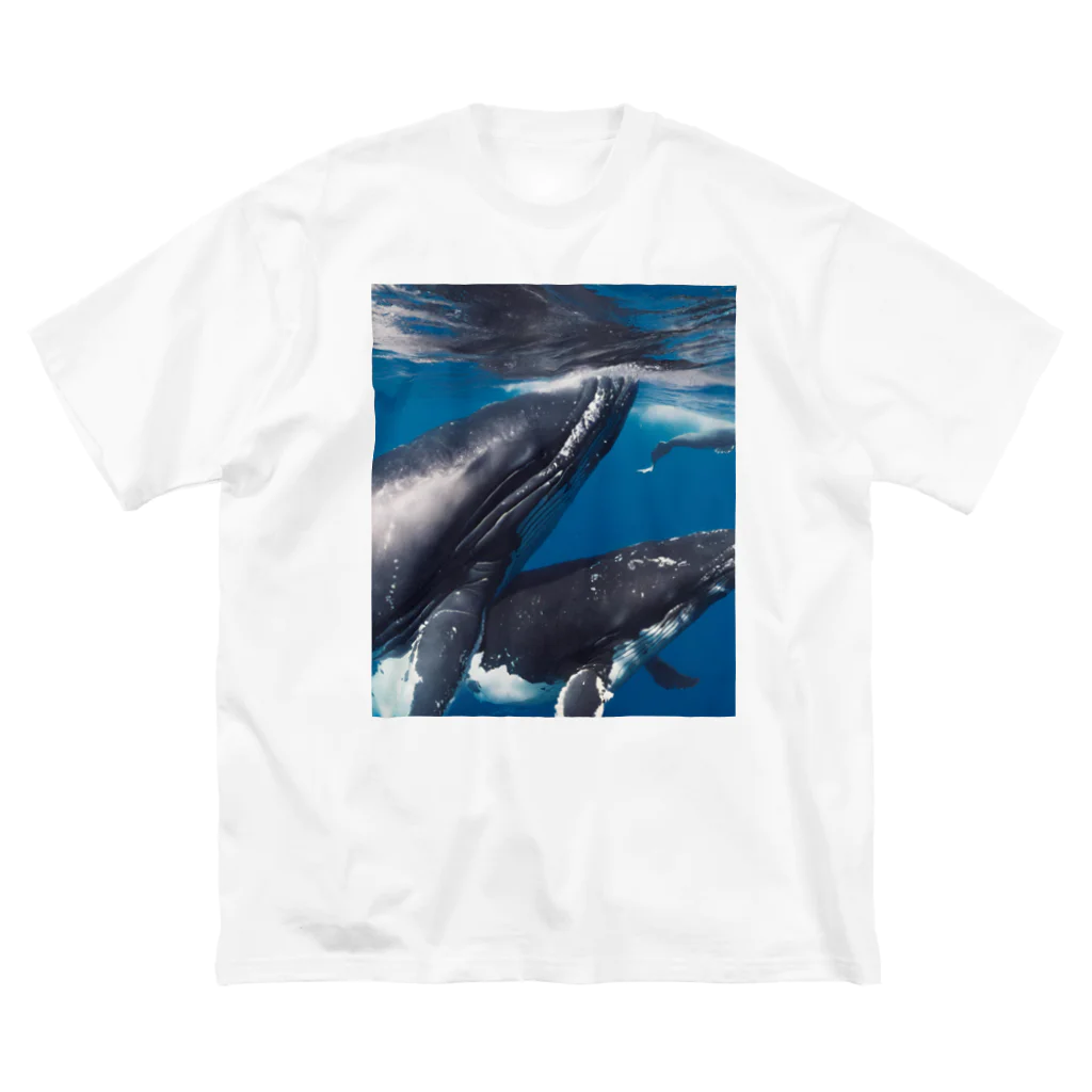 Fasterのシロナガスクジラ　親子 Big T-Shirt