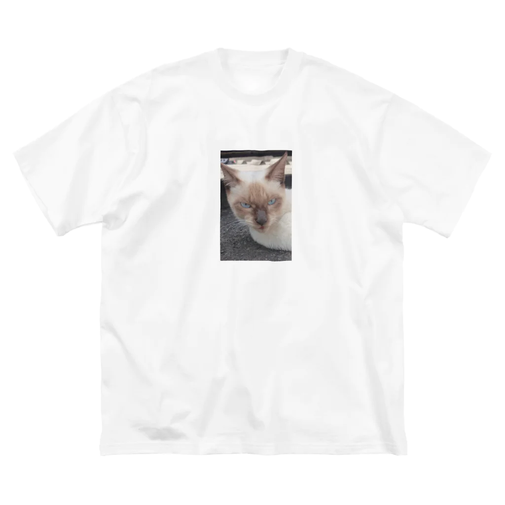 Makoto_Kawano Designの悪そうなのにカワイイ猫ちゃん Big T-Shirt