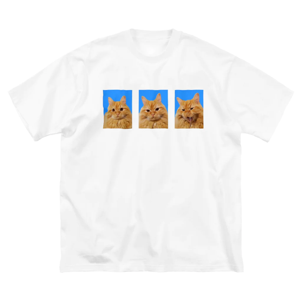 シンバのおうちのシンバ証明写真(３ショット) Big T-Shirt