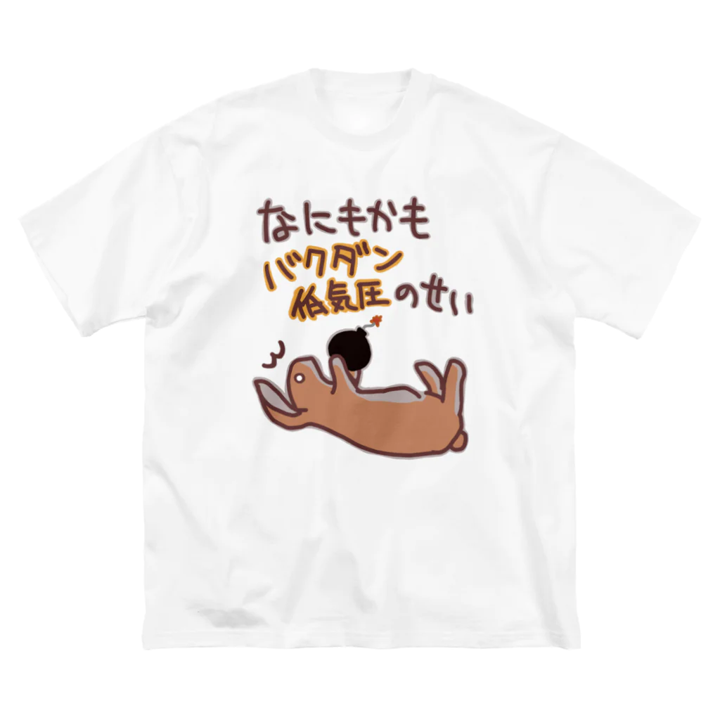 ミナミコアリクイ【のの】の爆弾低気圧！【うさぎ】 ビッグシルエットTシャツ