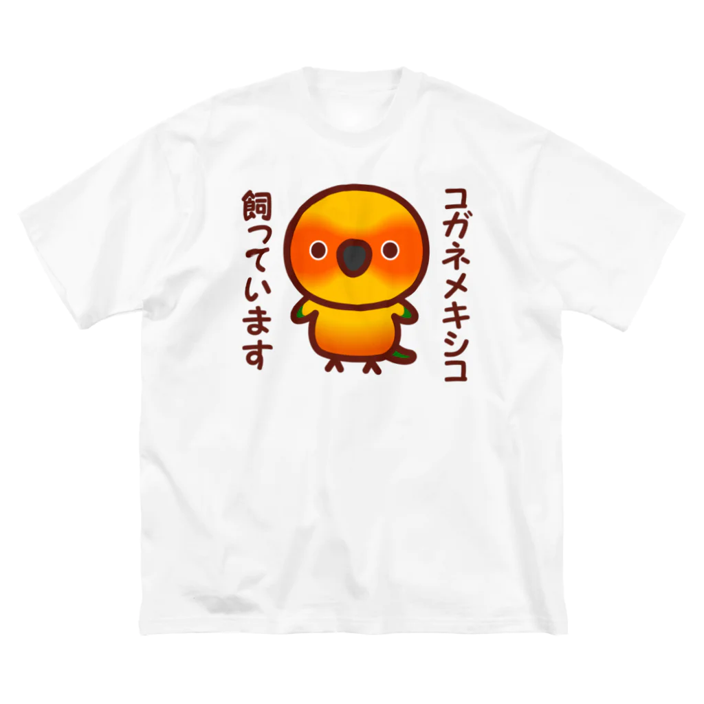 いんこ屋堂のコガネメキシコ飼っています Big T-Shirt