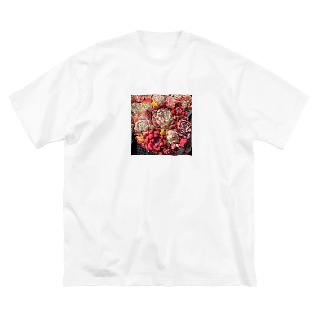 Echeveria_Masterの華やかなエケベリア Big T-Shirt