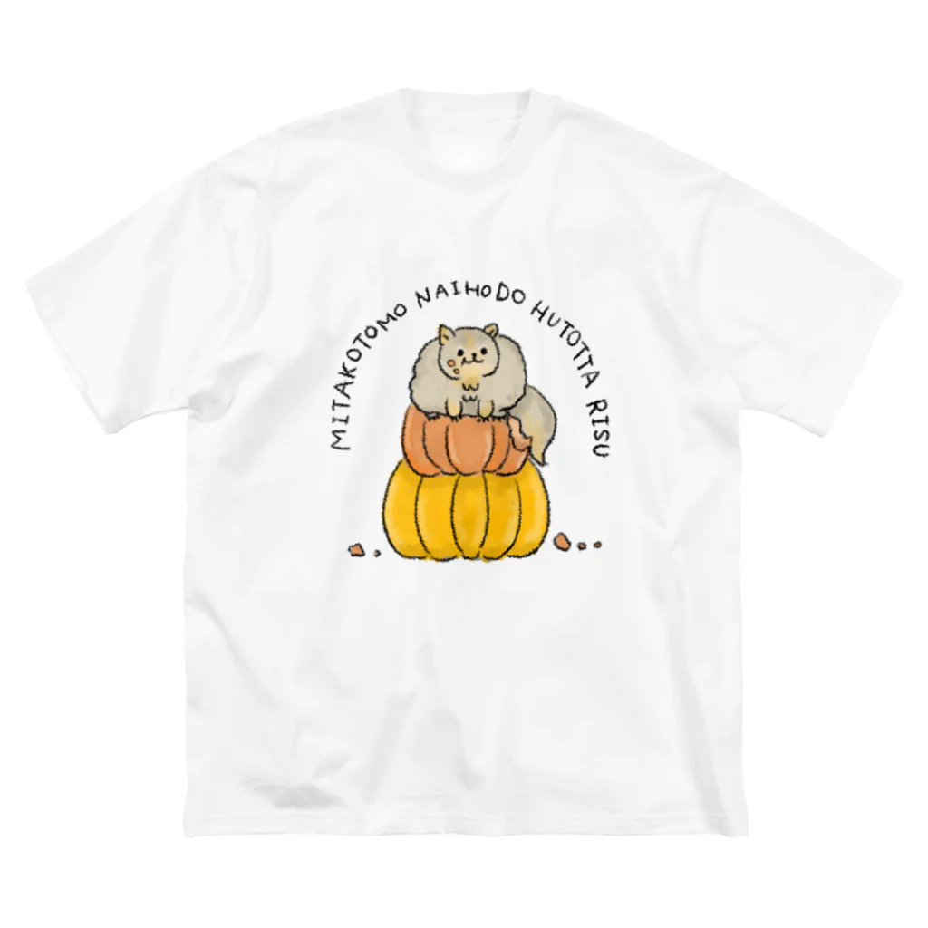 hashiba_の見たこともないほど太ったリス Big T-Shirt