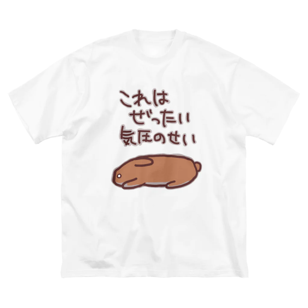 ミナミコアリクイ【のの】の絶対気圧のせい【うさぎ】 ビッグシルエットTシャツ