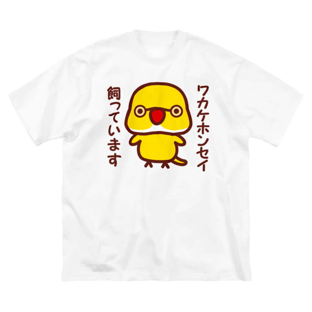 いんこ屋堂のワカケホンセイインコ飼っています（ルチノー/オス） Big T-Shirt