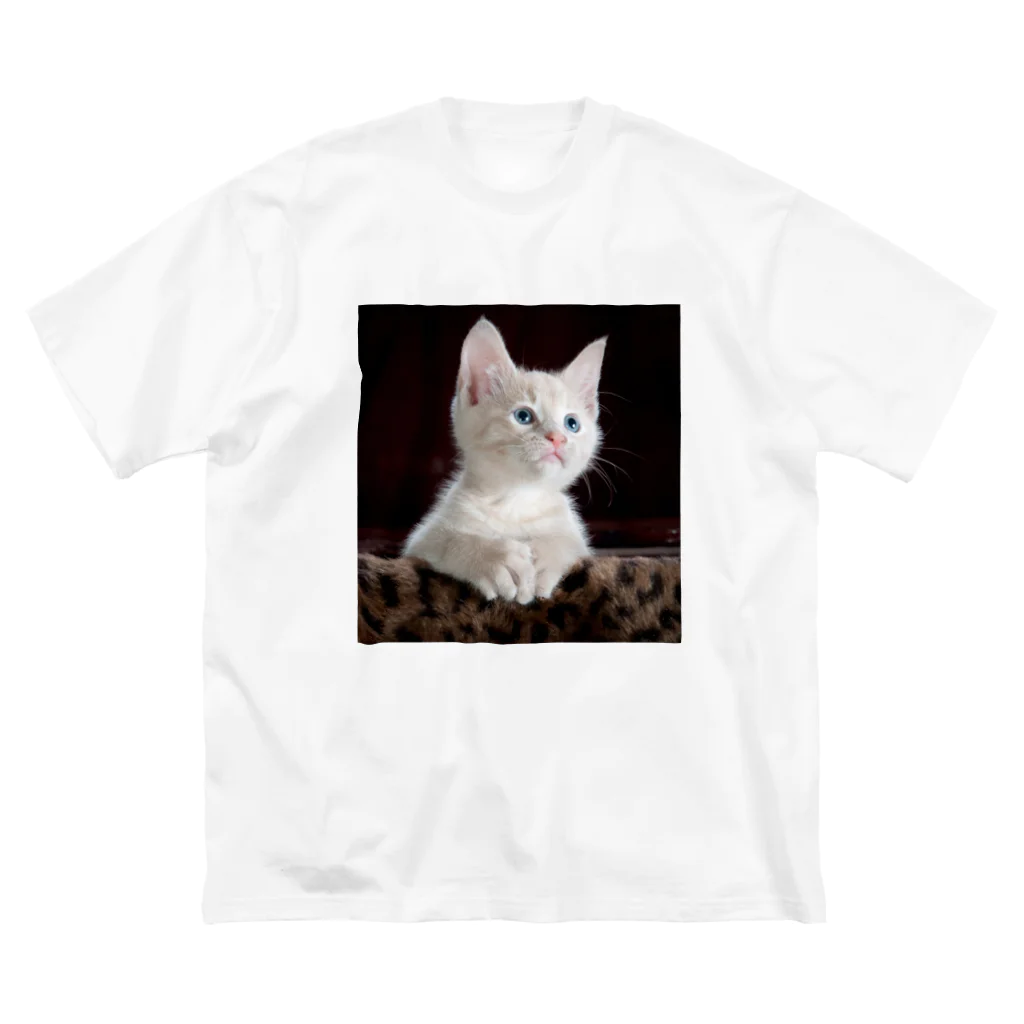 可愛い動物の猫 Big T-Shirt