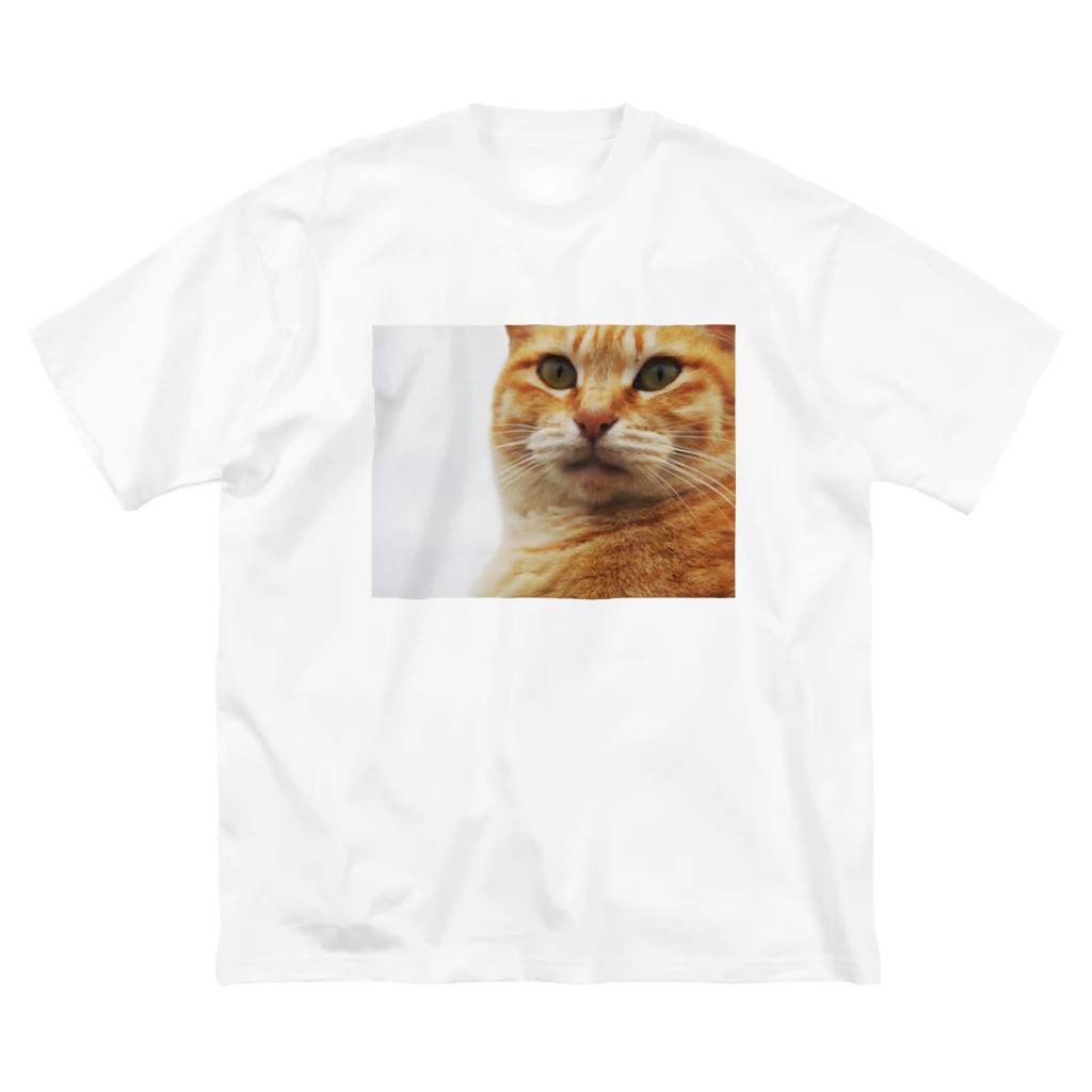 遁世の顎を引く猫 ビッグシルエットTシャツ