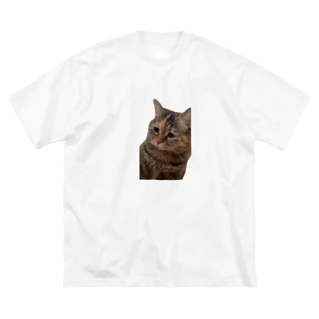 猫ミームグッズの【猫ミーム】叱られる猫 ビッグシルエットTシャツ