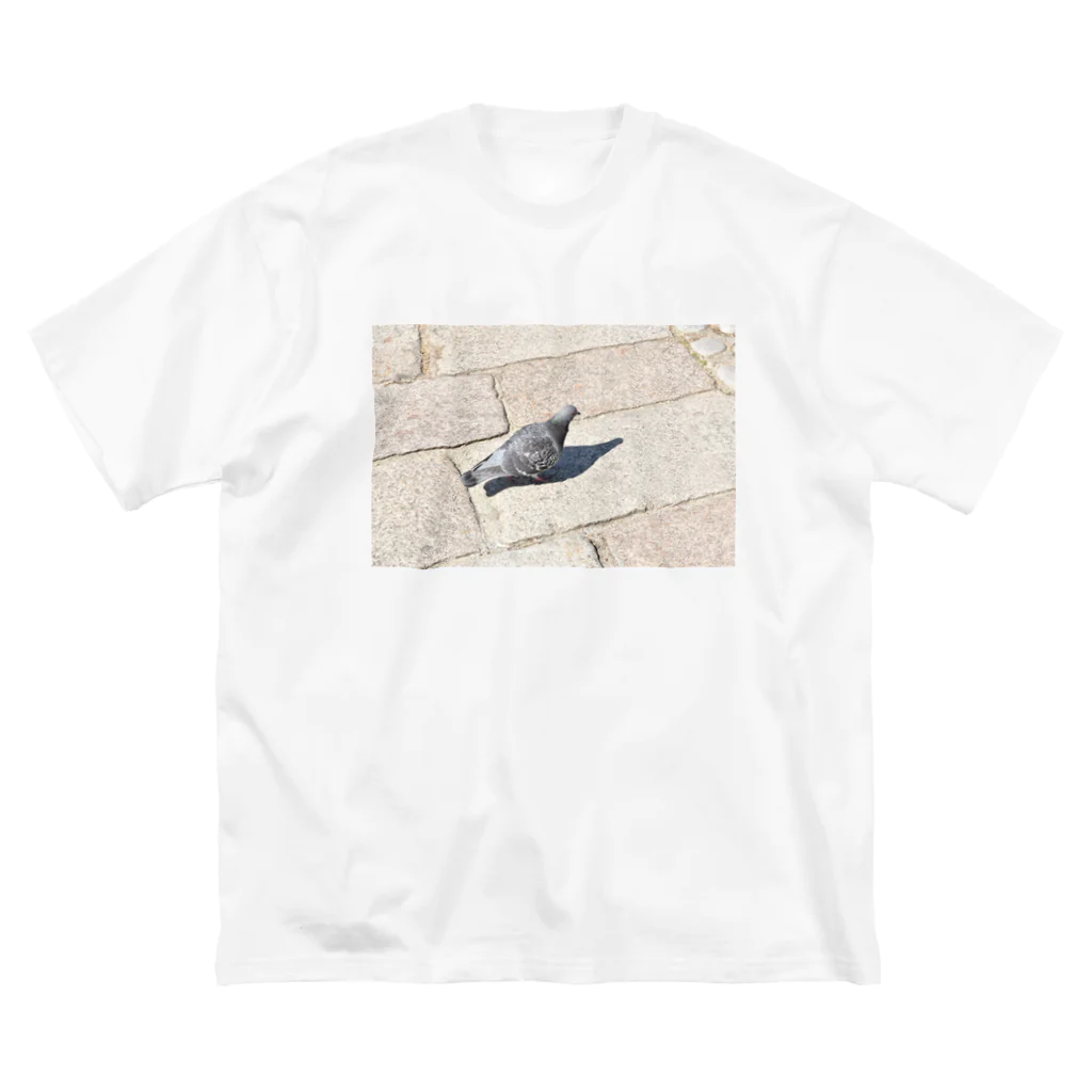 ふぉとの自分の影を見つめる鳩 Big T-Shirt