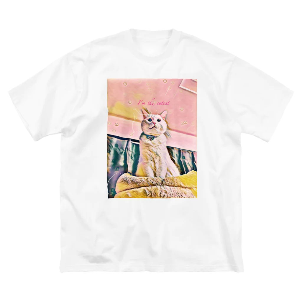 kopakiaraのこぱグッズ Big T-Shirt