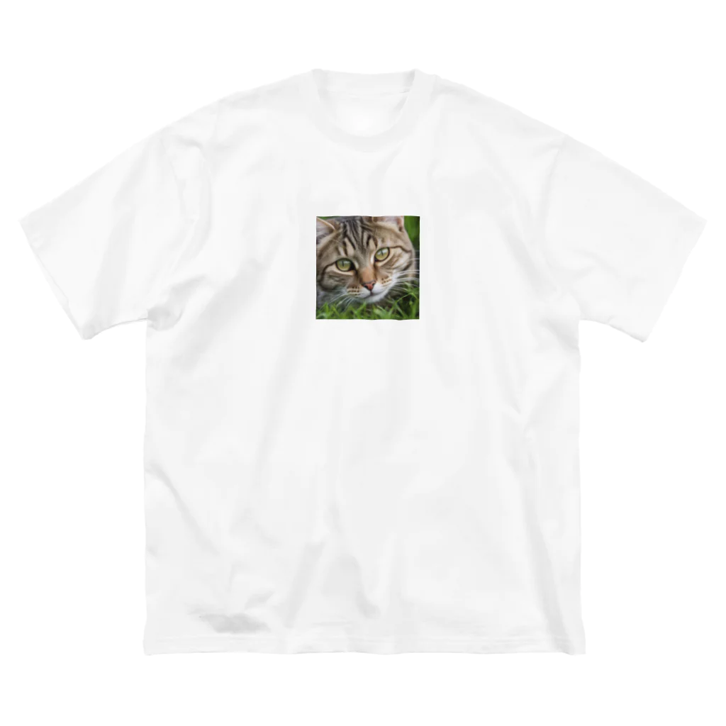 kkbaseballの草村の猫 Big T-Shirt