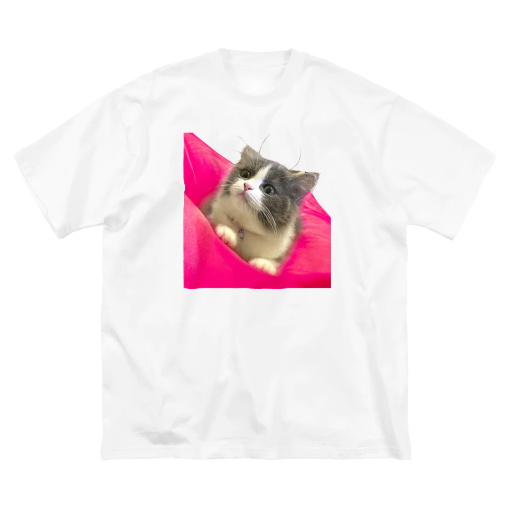 itsukiancoroのアイドルネコのアンちゃん Big T-Shirt