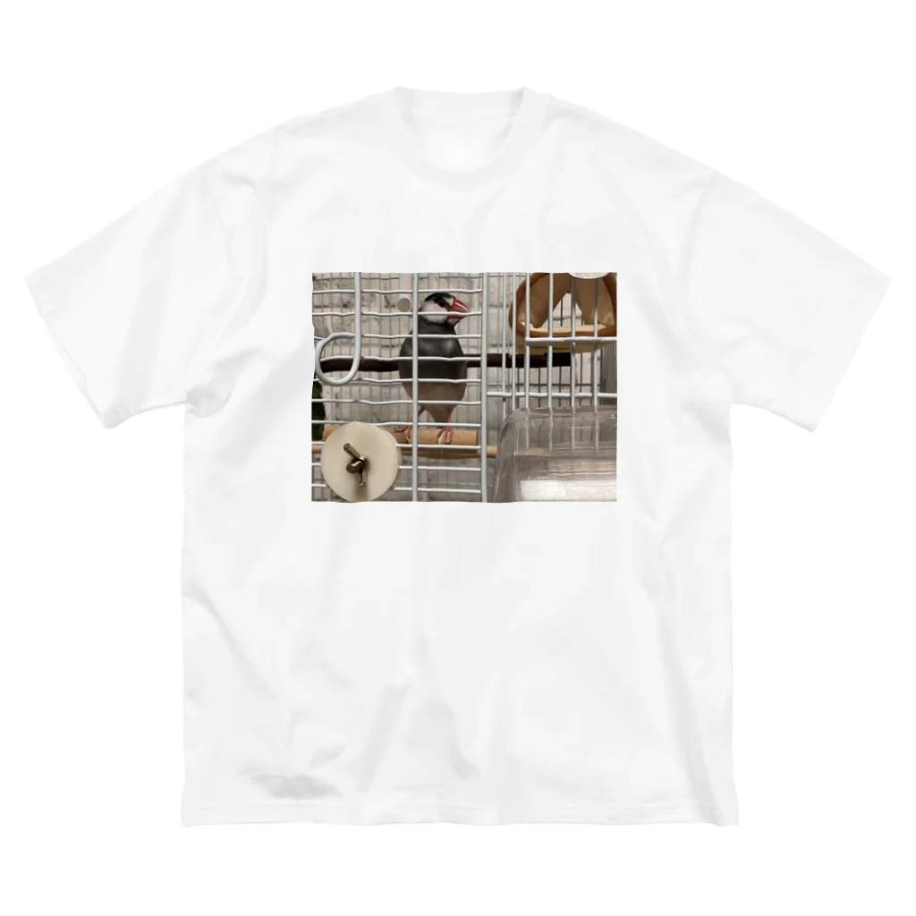 小鳥屋の桜文鳥のくうちゃんグッズ Big T-Shirt