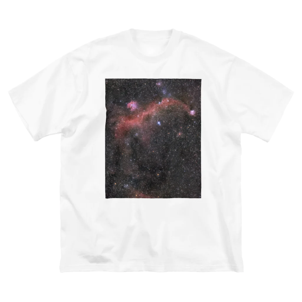 S204_Nanaのカモメ星雲 ビッグシルエットTシャツ