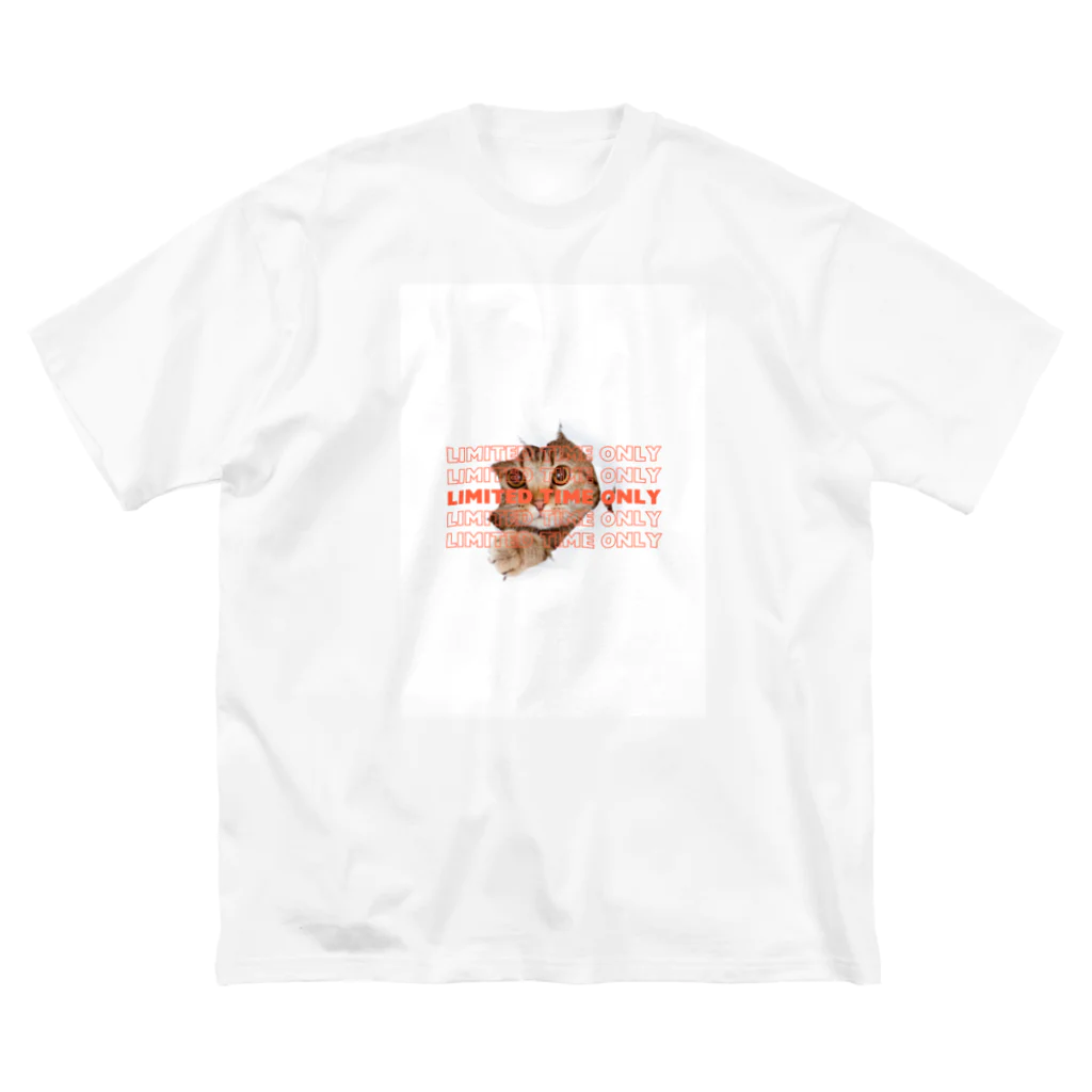 Holidayの猫 ビッグシルエットTシャツ