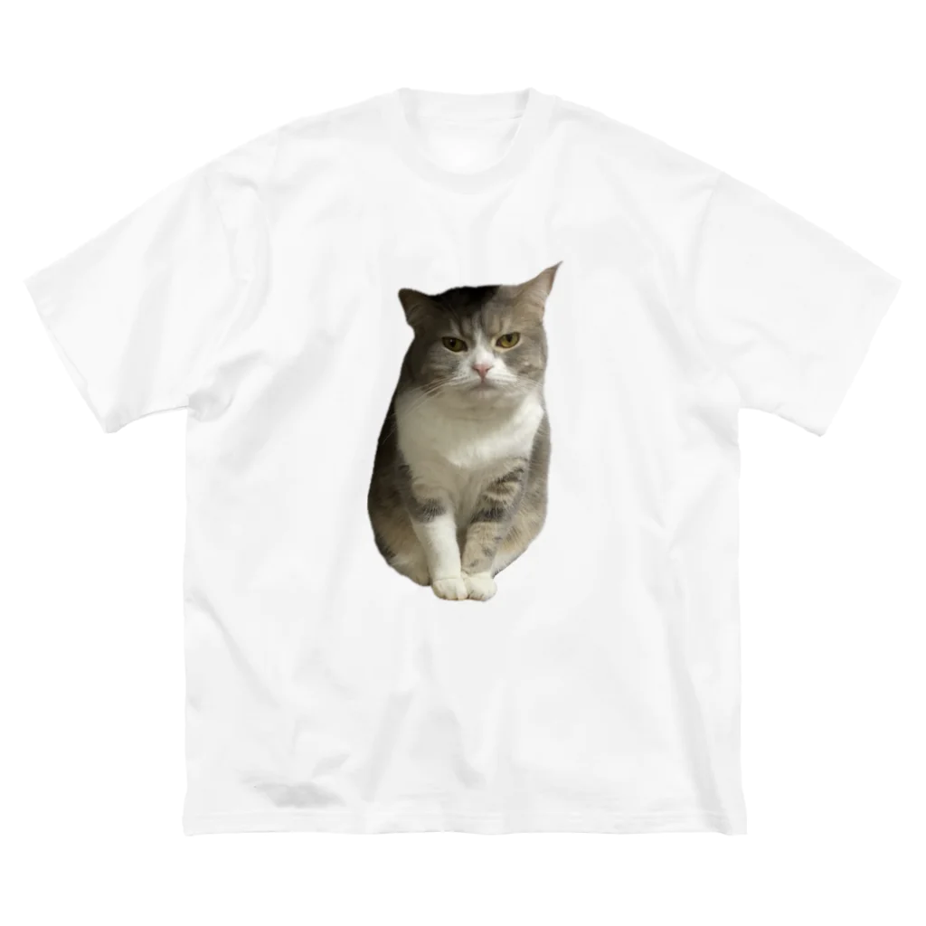 むっちり猫のむっちり丸の不機嫌な美猫 ミロ姫 ビッグシルエットTシャツ
