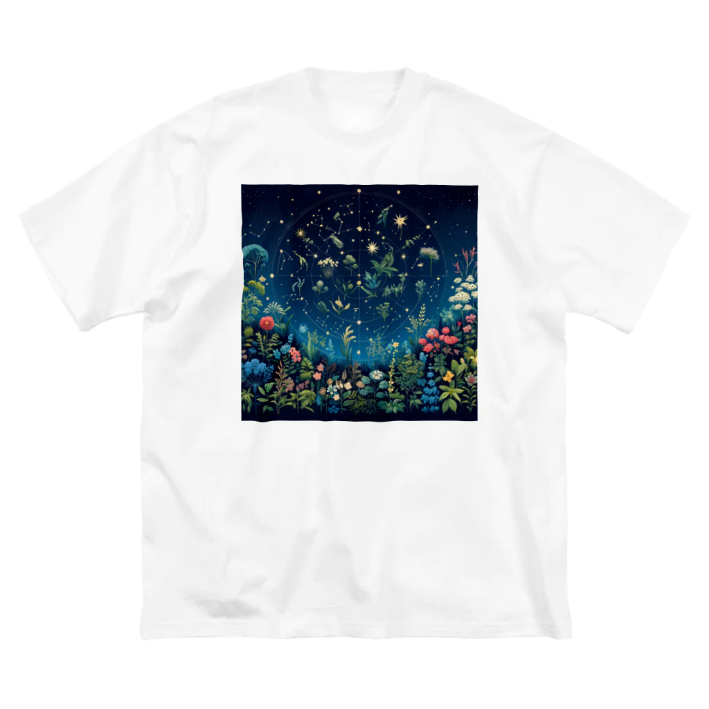 0denkundesuの星彩植譜 Big T-Shirt