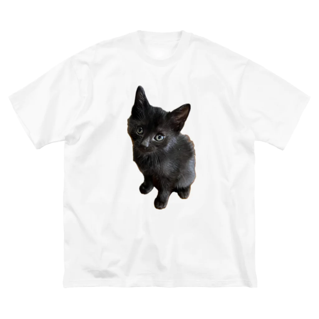 ねこねこねこねこのくーちゃん Big T-Shirt