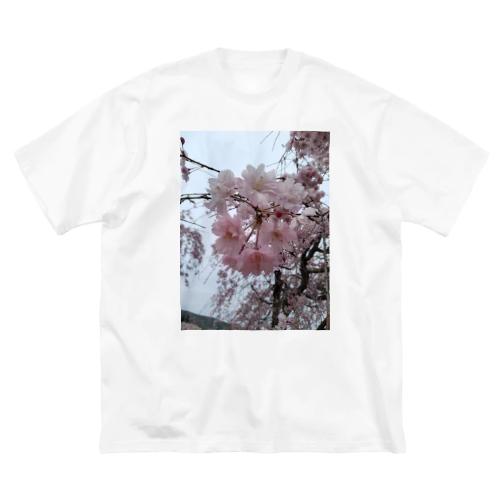 umejirouのさくら満開 Big T-Shirt