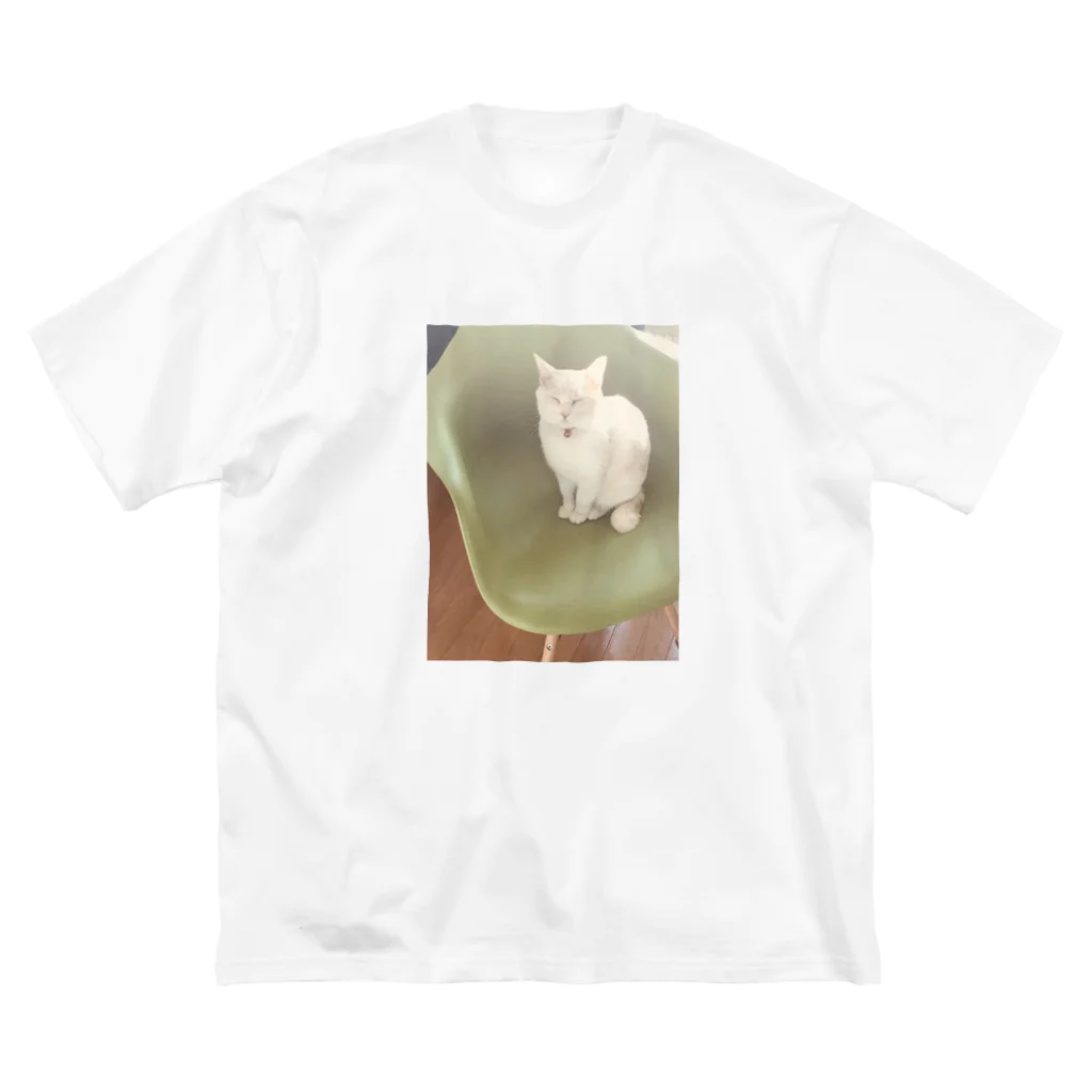 Mizuki・ASIA CATのうたたねこ🐾 ビッグシルエットTシャツ