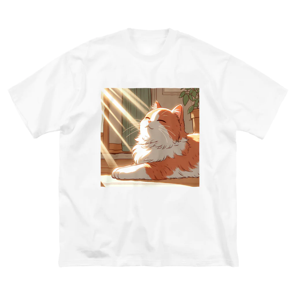 なめたけのひなたぼっこねこ ビッグシルエットTシャツ