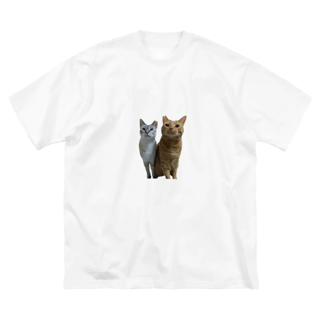 Aさん@😺里親募集中の茶トラとシャムトラ　兄妹猫 Big T-Shirt