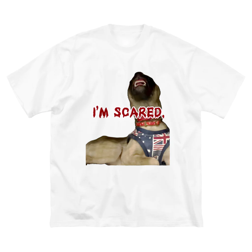 毛玉のおうちチャリティーグッズ販売suzuri部のI'M SCARED. Big T-Shirt