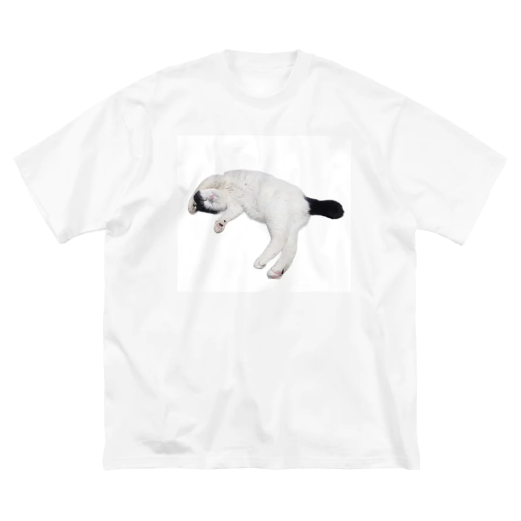 クリスタの尻尾が短い保護猫 たぬちゃん Big T-Shirt