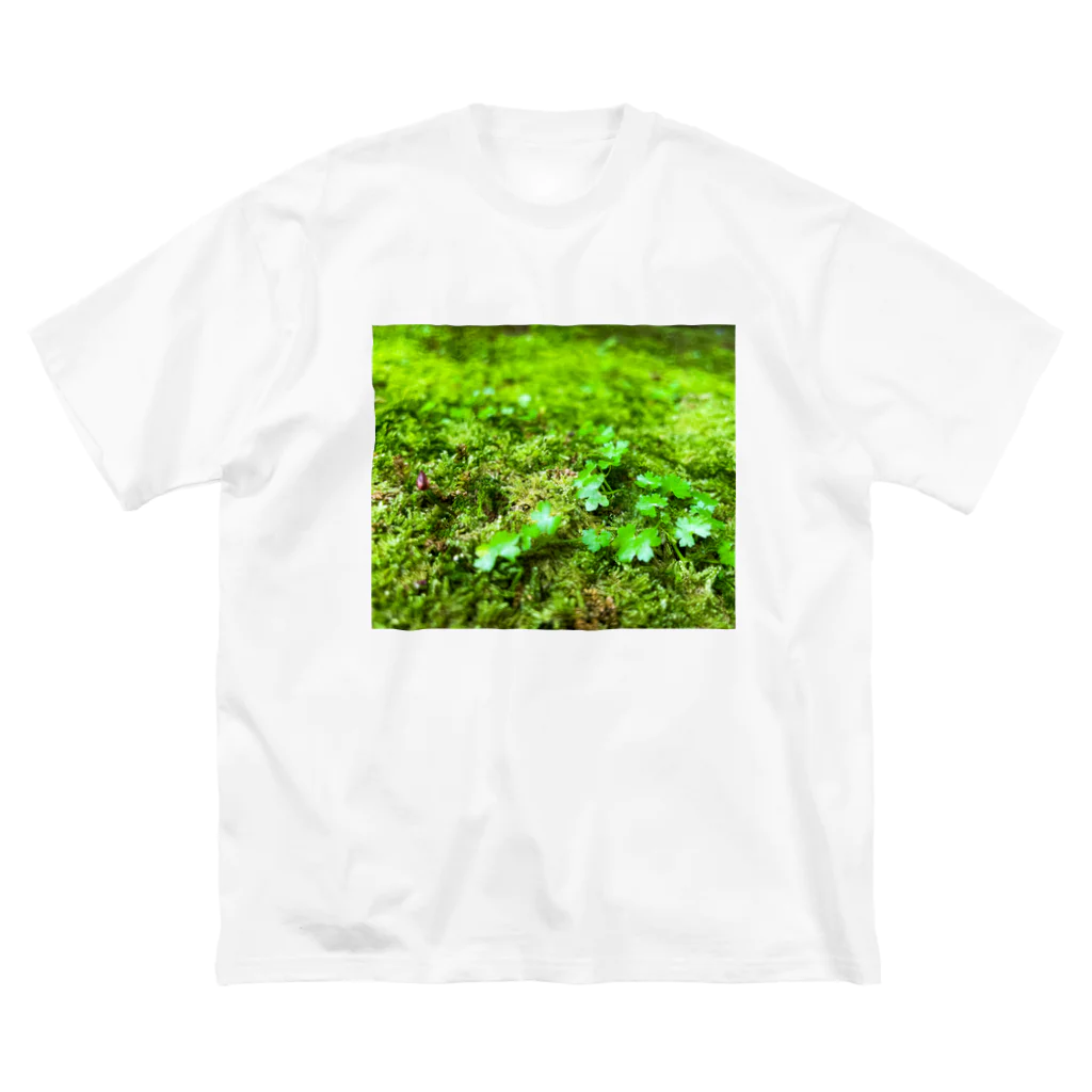 suparnaの緑の雫 Big T-Shirt