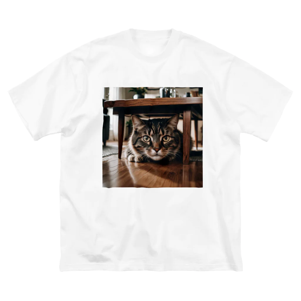 zigerparkの隠れる猫 Big T-Shirt