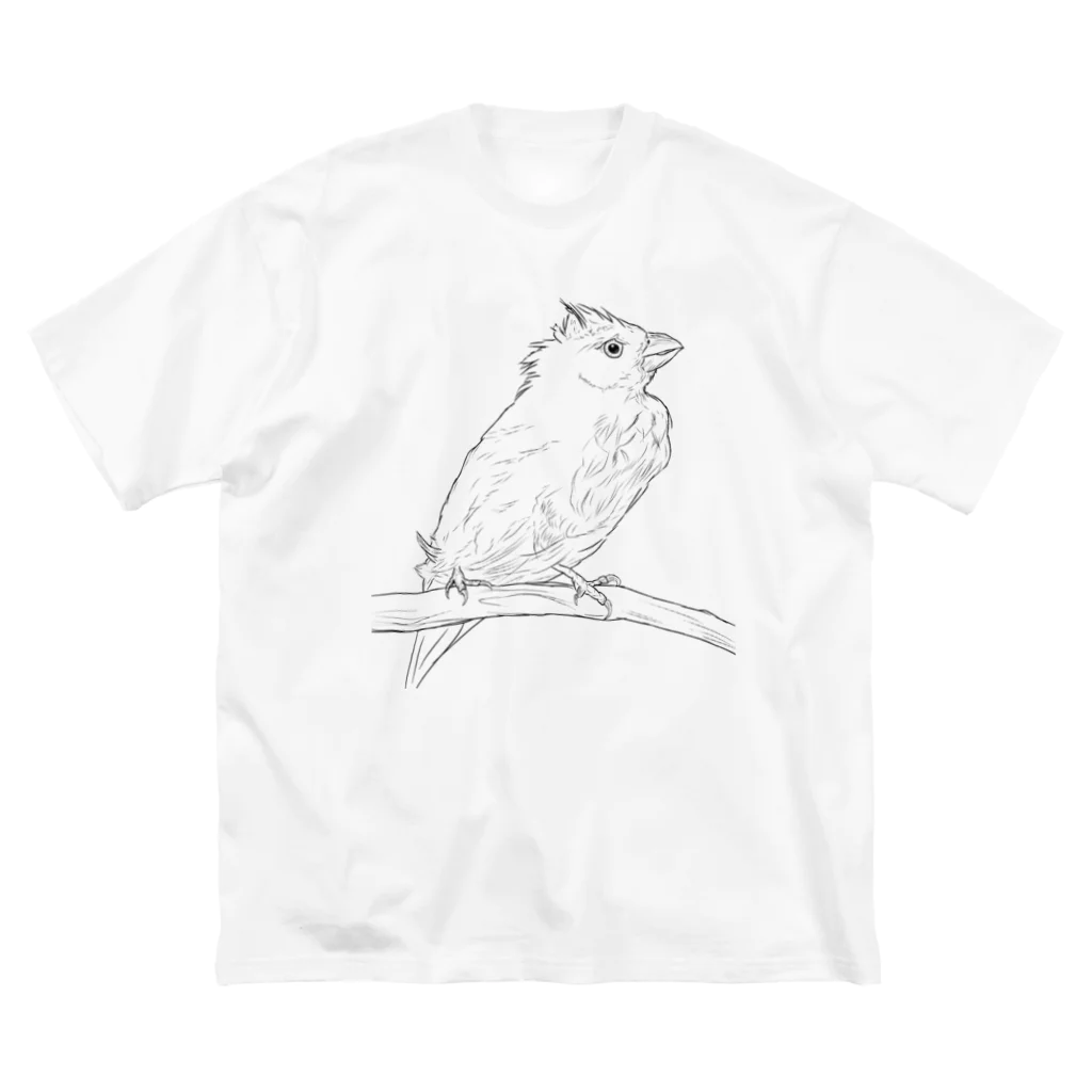 Lily bird（リリーバード）の水浴び文鳥 ビッグシルエットTシャツ