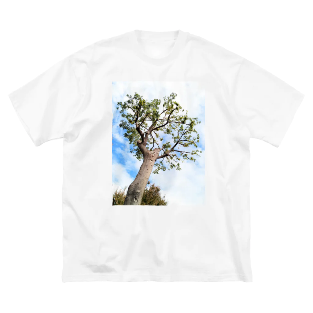 華吉草力の木2 Big T-Shirt