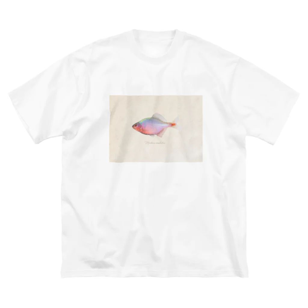 Serendipity -Scenery In One's Mind's Eye-のRhodeus ocellatus Big T-Shirt