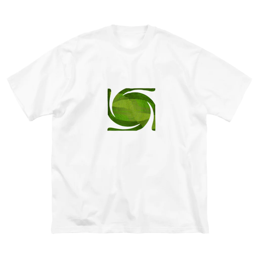 水草の藻１ ビッグシルエットTシャツ