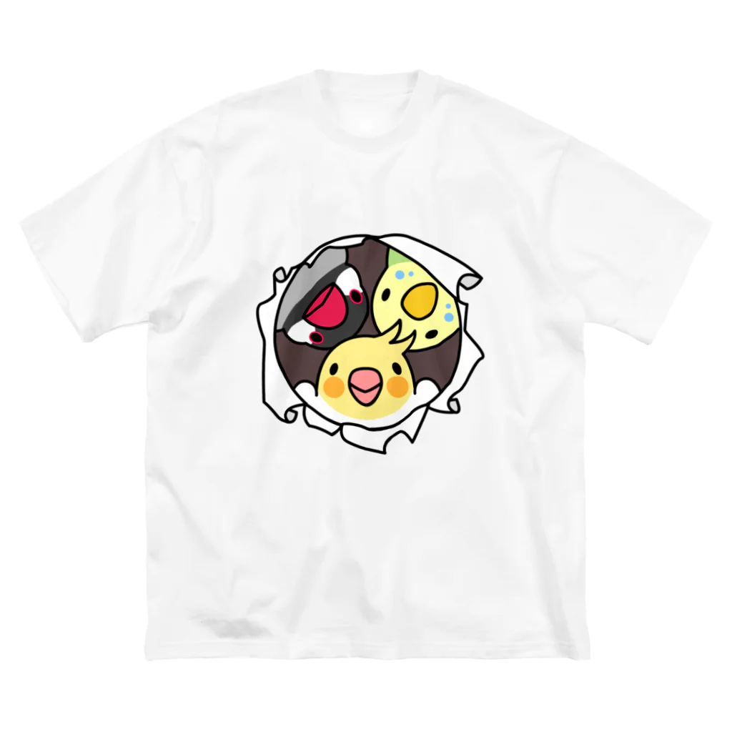 まめるりはことりのなかよしインコ【まめるりはことり】 ビッグシルエットTシャツ