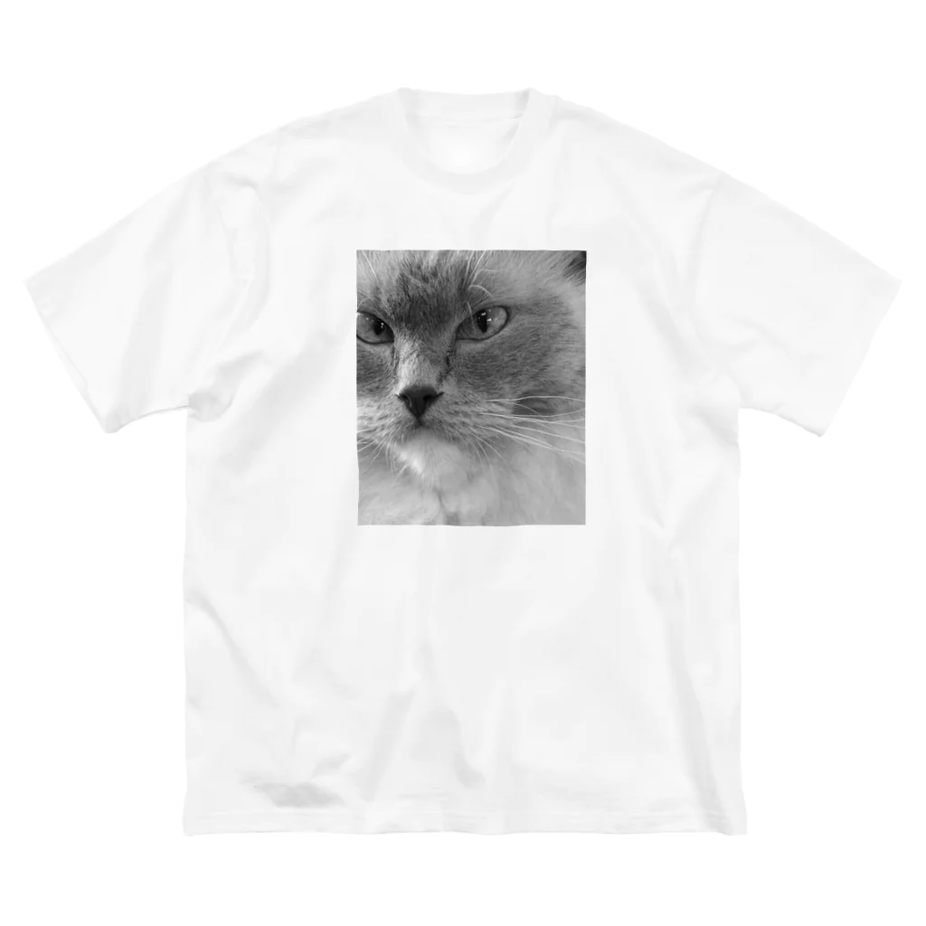 308GTBooのCAT ビッグシルエットTシャツ