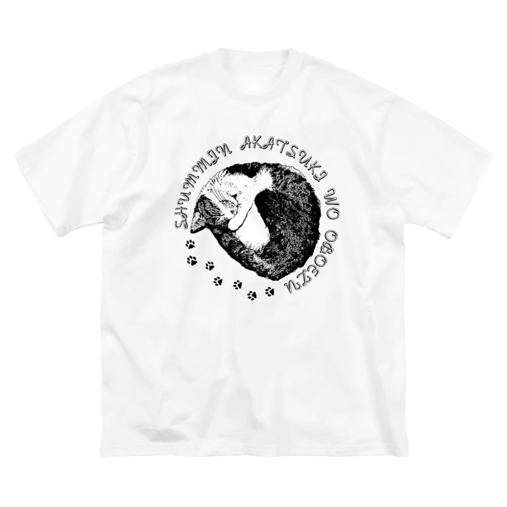 猫と釣り人のCAT_22_1W ビッグシルエットTシャツ